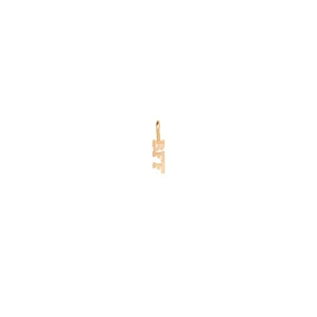 14k Single Itty Bitty BFF Charm