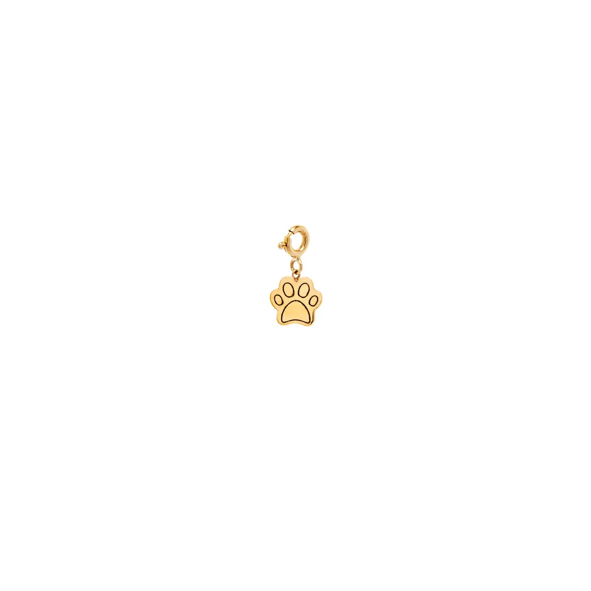 14k Single Midi Bitty Dog Paw Charm