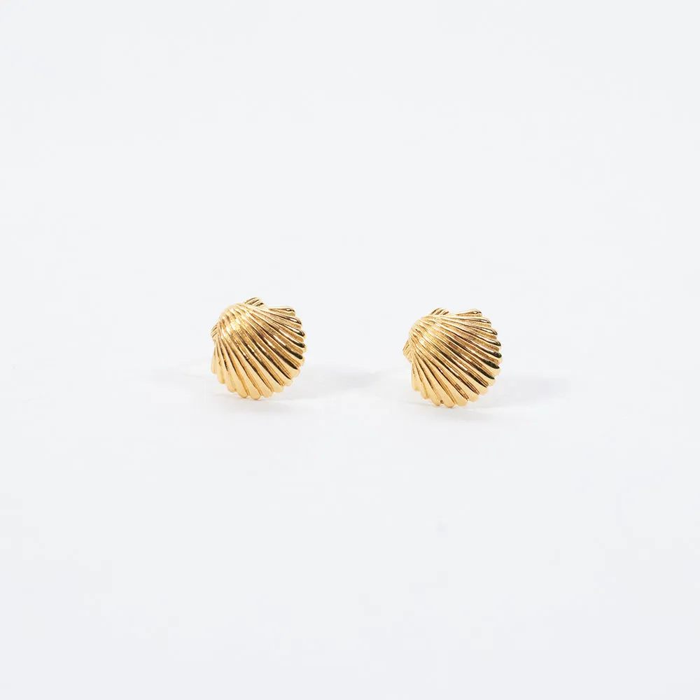 Gold Vermeil Shell Studs